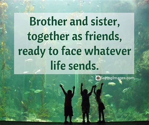 35 Sweet and Loving Siblings Quotes » ANNPortal