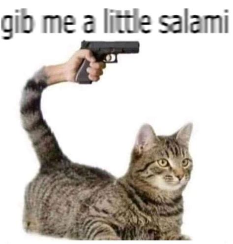 Yes Indeed, Cats Can Have A Little Salami (27 Memes)