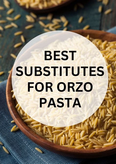 Best Substitutes for Orzo Pasta - Wholly Tasteful