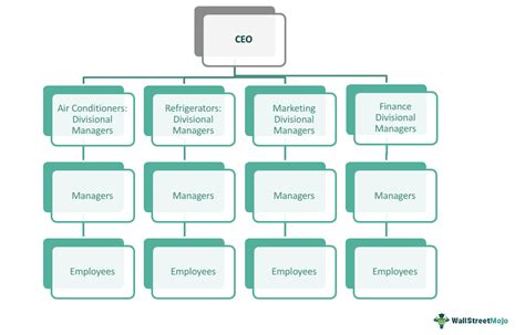 Divisional Structure - What Is It, Organization, Examples