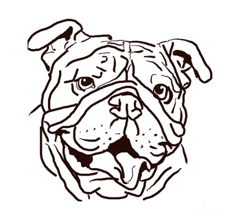 The Bulldog Love of My Life Drawing by I Am Lalanny | Pixels