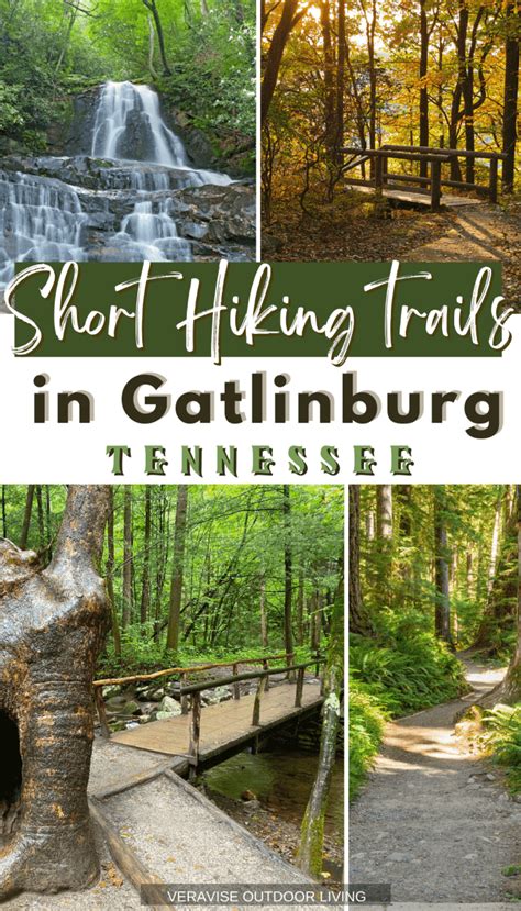 Short Hiking Trails In Gatlinburg, TN