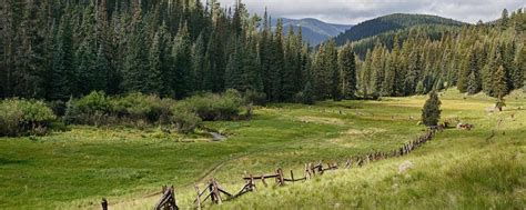 White Mountains, Arizona Travel & Vacation Guide