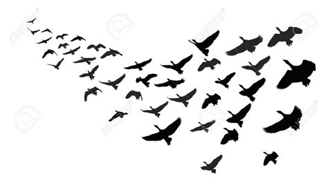 Migratory birds clipart - Clipground