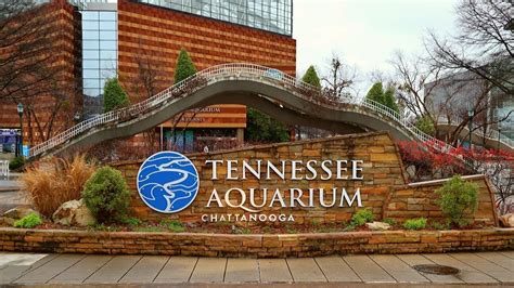 Tennessee Aquarium walk through/ Freshwater side - YouTube