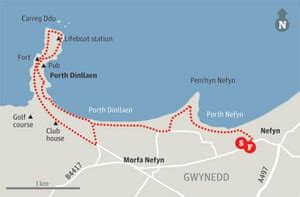 Seal pups and wildflowers, Nefyn, Gwynedd | Travel | The Guardian