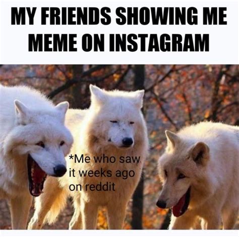 Derp laughing dogs meme : r/MemeTemplatesOfficial