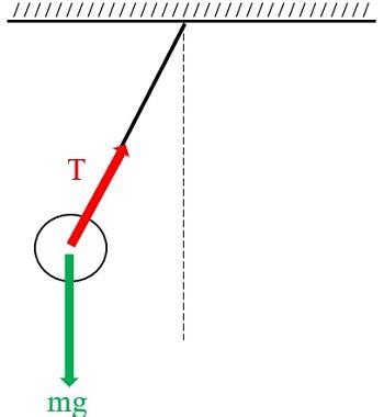 Restoring Forces & Oscillation: Definition & Examples - Lesson | Study.com