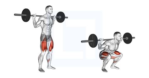 Resistance Band Squat - Guide, Benefits, and Form