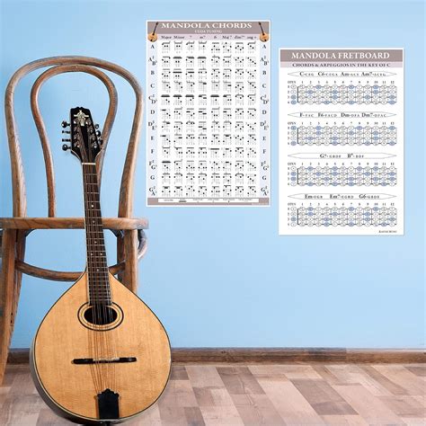 Amazon.com - Mandola Chords and Fretboard Poster Set (CGDA Tuning)