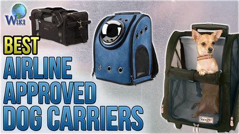 10 Best Airline Approved Dog Carriers 2018 - YouTube