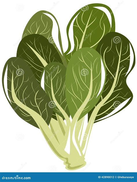 Spinach Cartoons, Illustrations & Vector Stock Images - 6856 Pictures to download from ...