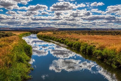 A Message From the Refuge Manager - Crane's Nest