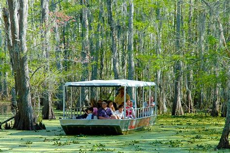 2023 New Orleans Swamp and Bayou Boat Tour with Transportation