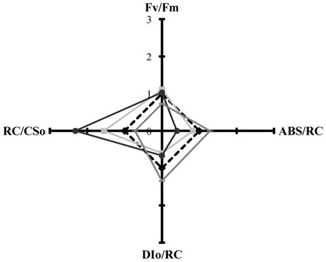 p-Cresol impact on the molecular structure and function of the ...