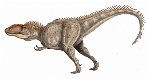 Giganotosaurus - Dinopedia - Wikia