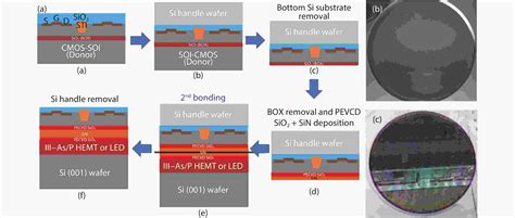 Mechanism Of Separation De Bonding Color Figure Avail - vrogue.co