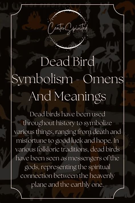 Dead Bird Symbolism - Omens And Meanings