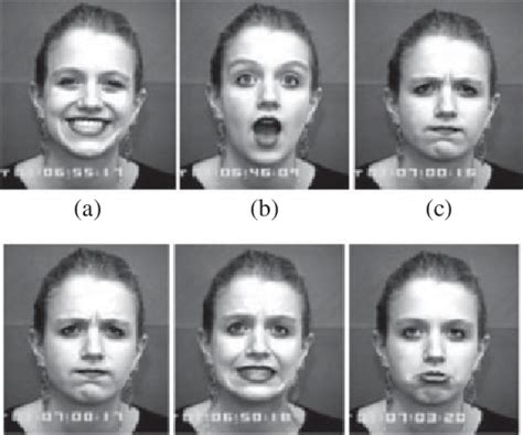 8 Six basic facial expressions for a Euro-American subject: (a)... | Download Scientific Diagram