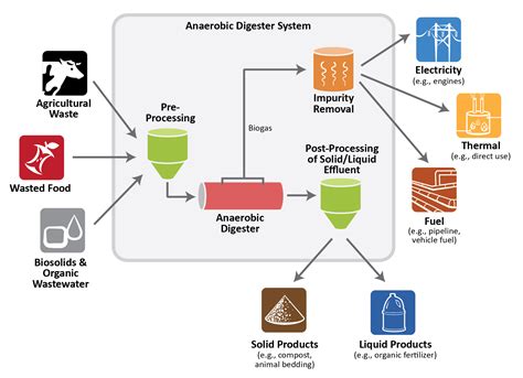 Anaerobic Digester Diagram