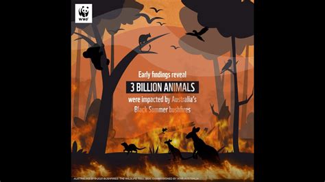 Nearly 3 Billion Animals Impacted by the Australian Bushfires | WWF-Australia - YouTube