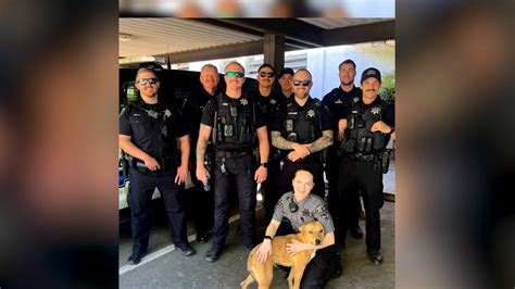 Chico Police Department gets first mental wellness dog