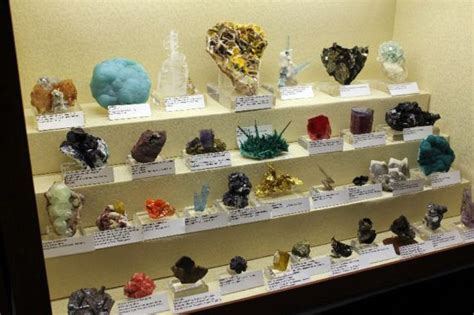 Best Practices Guide to Gem Show Display Case Design - Where to Find ...