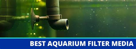 The Best Aquarium Filter Media | Reviews and Ratings for 2022