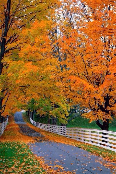 New Hampshire | Autumn scenery, Autumn landscape, Fall pictures