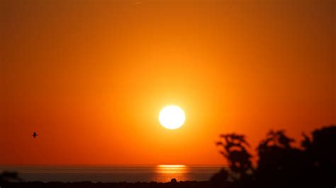 Free Images : water, horizon, sun, sunrise, sunset, sunlight, dawn, atmosphere, summer, dusk ...