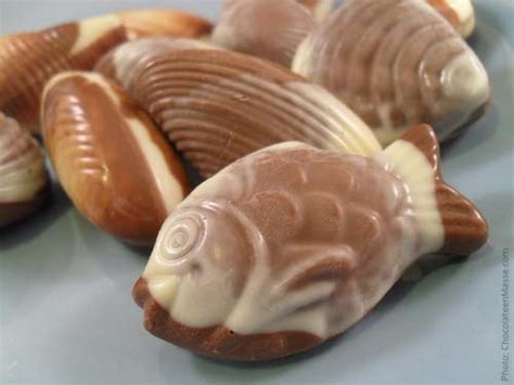 GBS Chocolate Seashell Review | Chocolate en Masse | Chocolate en Masse