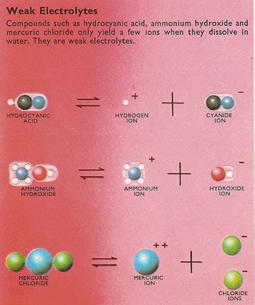 ExamplesOf.net: Example of Weak Electrolytes