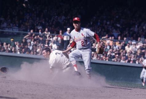 1968 World Series | Detroit tigers baseball, St louis cardinals ...