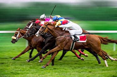 The Best Horse Racing Betting Sites of 2023 Fully Tested and Reviewed