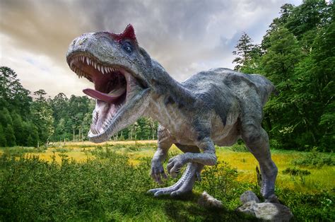 New Gorgosaurus dinosaur unveiled at Thanksgiving Point