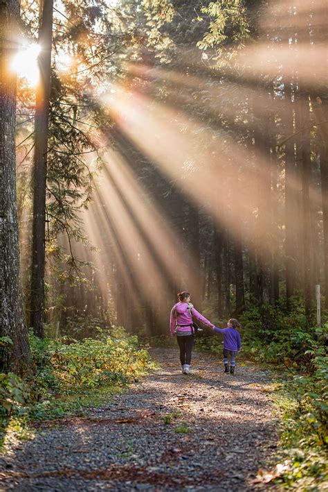 two, female, pathway, surrounded, trees, beautiful, british columbia, canada, child, daughter ...