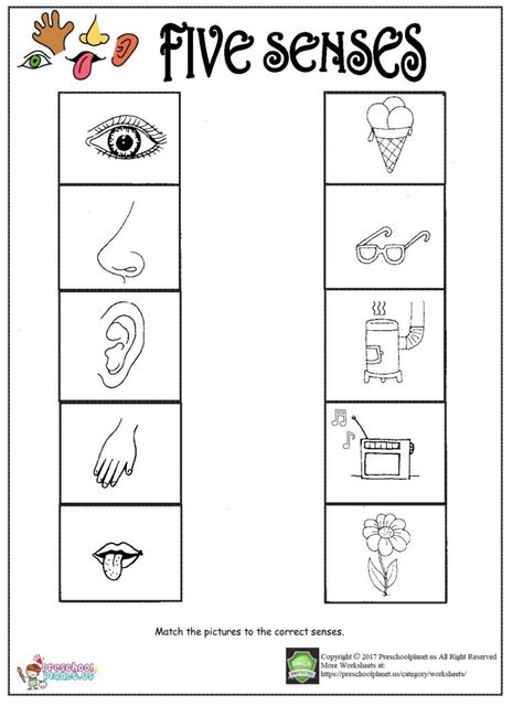 Printable five senses worksheet – Preschoolplanet