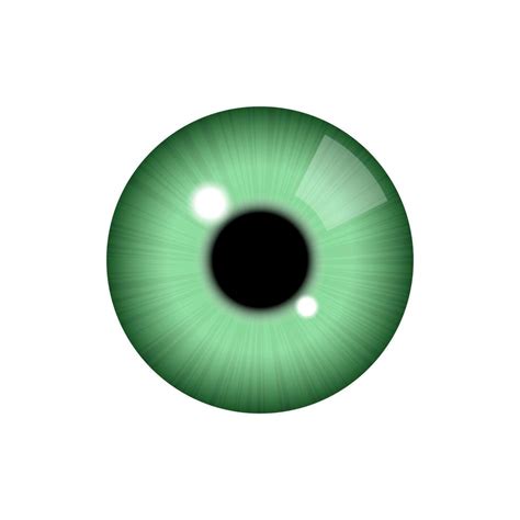 Realistic human eye 8066447 Vector Art at Vecteezy