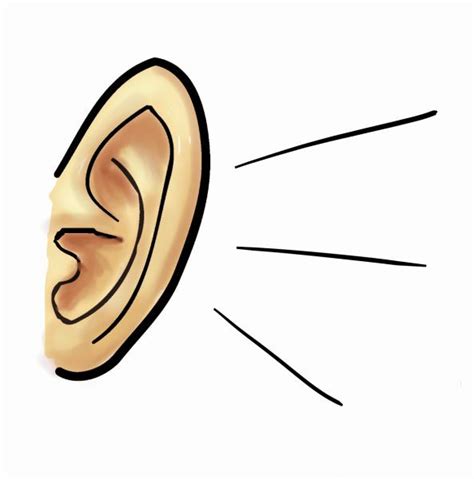 Ear Clipart Images - ClipArt Best