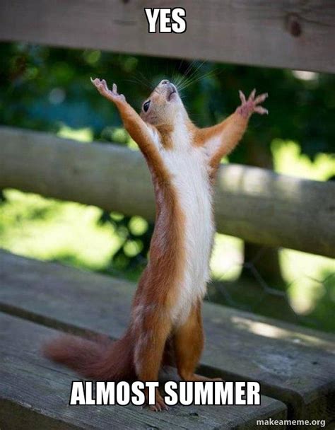 Yes Almost summer - Happy Squirrel Meme Generator