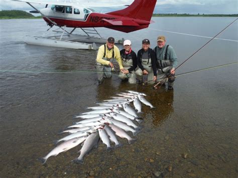 KVICHAK RIVER FISHING - Brads Igiugig Lodge