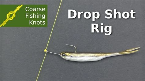 How to tie a Drop Shot Rig - Coarse Fishing Knots