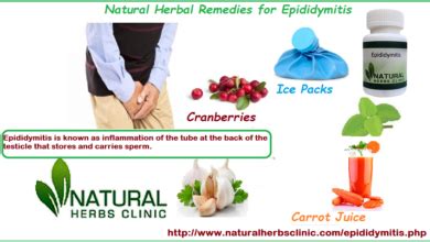 Epididymitis Archives - Natural Herbs Clinic Blog