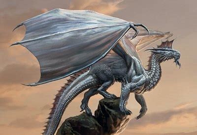 dnd silver dragon art - iphonelockscreenwallpaperchange