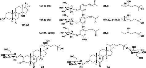 Structures of isolated ecdysteroids 19–22 (the plant M. membranifolium ...