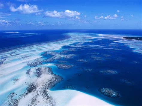 HD wallpaper: Australia Barrier Reef Under the Sea 3D Entertainment Movies HD Art | Wallpaper Flare