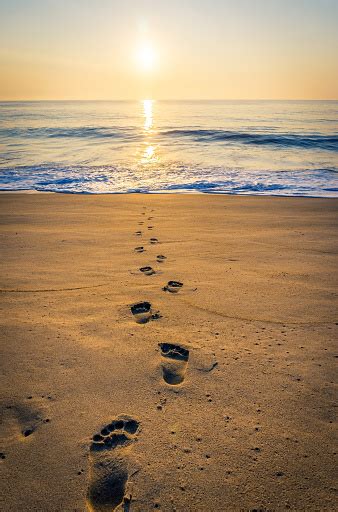 Beach Footprints Pictures | Download Free Images on Unsplash