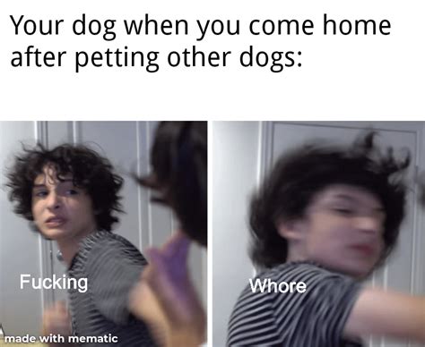 Respect your doggo. Don't pet other dogs : r/memes