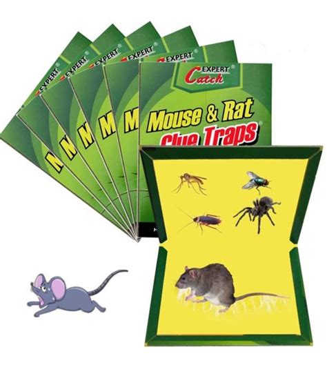 Buy 1pc Strong Mouse Sticky Board Rat Glue Snare Trap Mice Catcher Safe at Best Price In ...