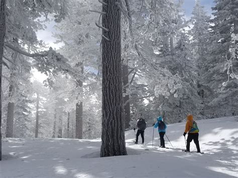 Snowshoeing to Mt. Pinos - February 16, 2018.